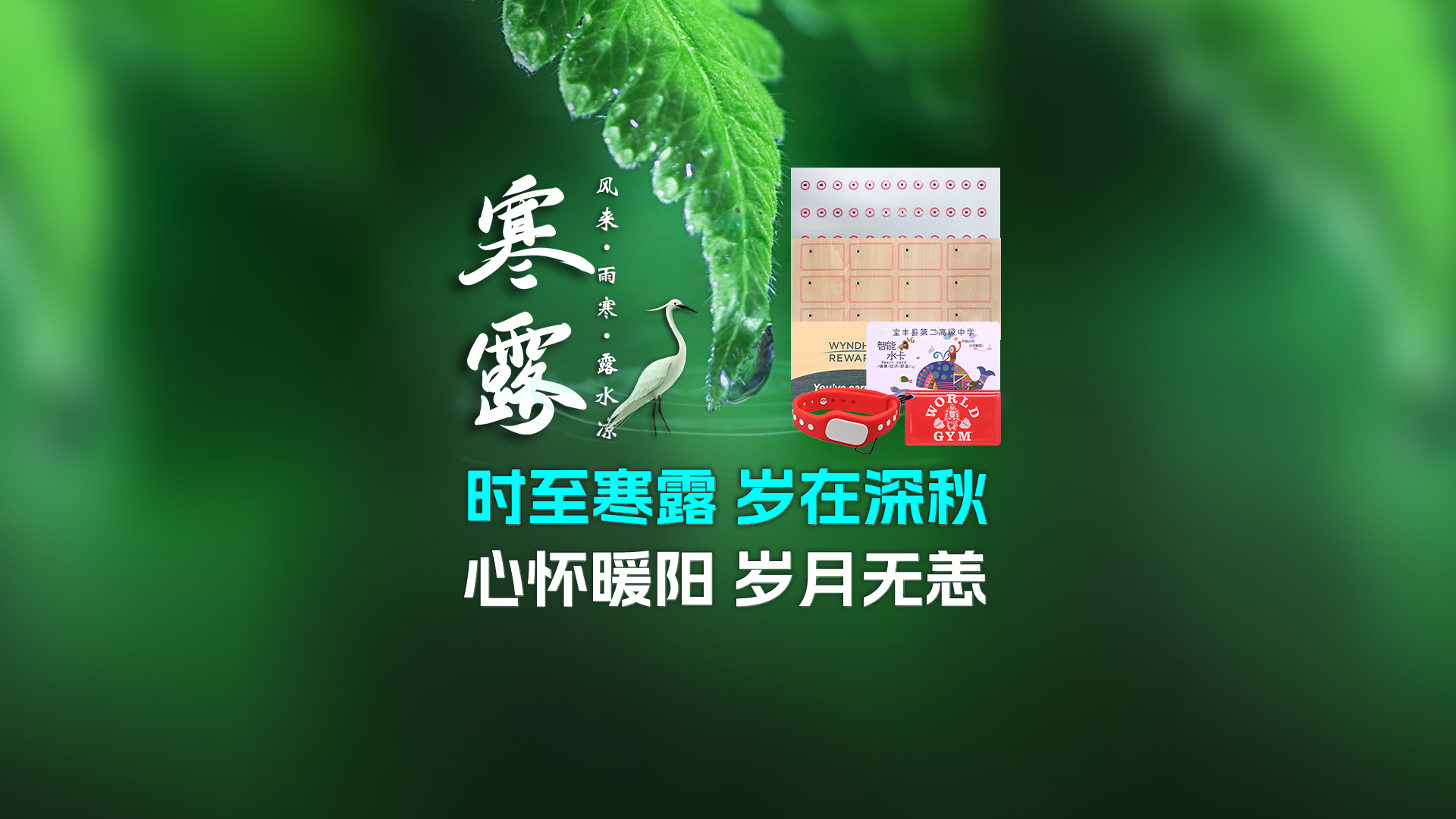 寒露至秋意濃，卡立方集團攜RFID智能卡中料木卡腕帶伴您暖度深秋
