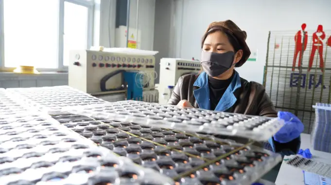 文明中衛(wèi)：閩寧情更長 山海共潮生 | 閩企向西入“海”來 